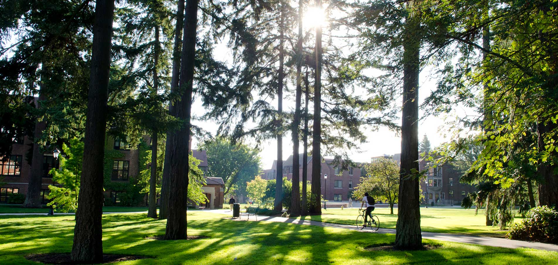 student on a bicycle riding through green tree campus